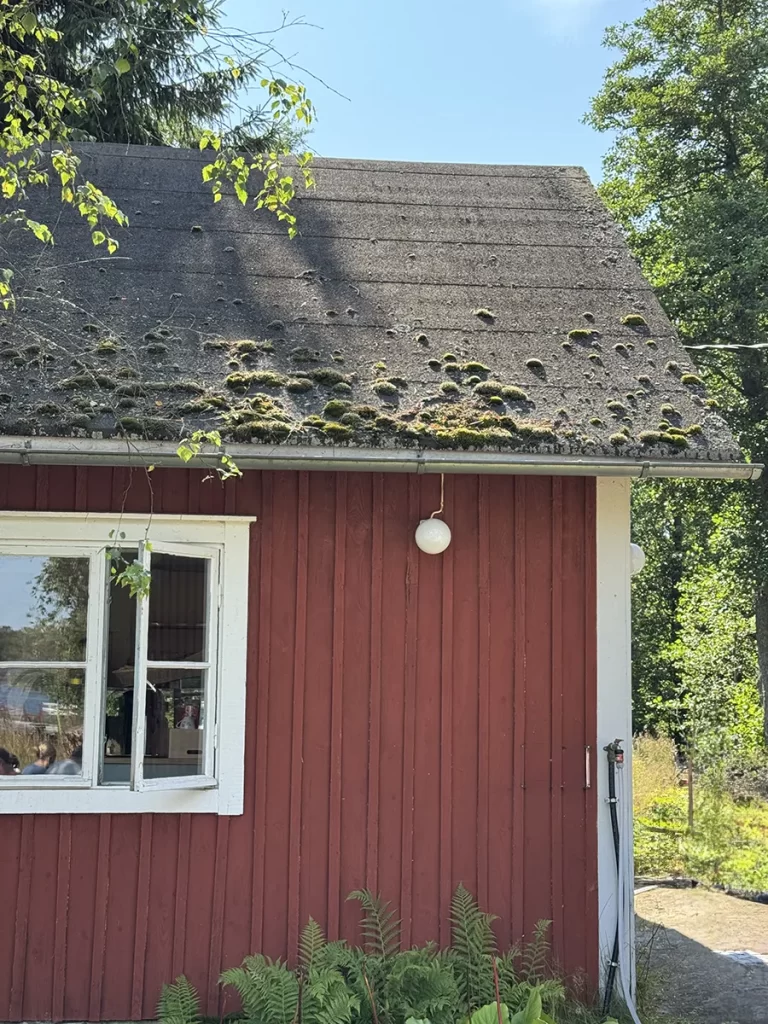 sammaleen poisto huopakatolta