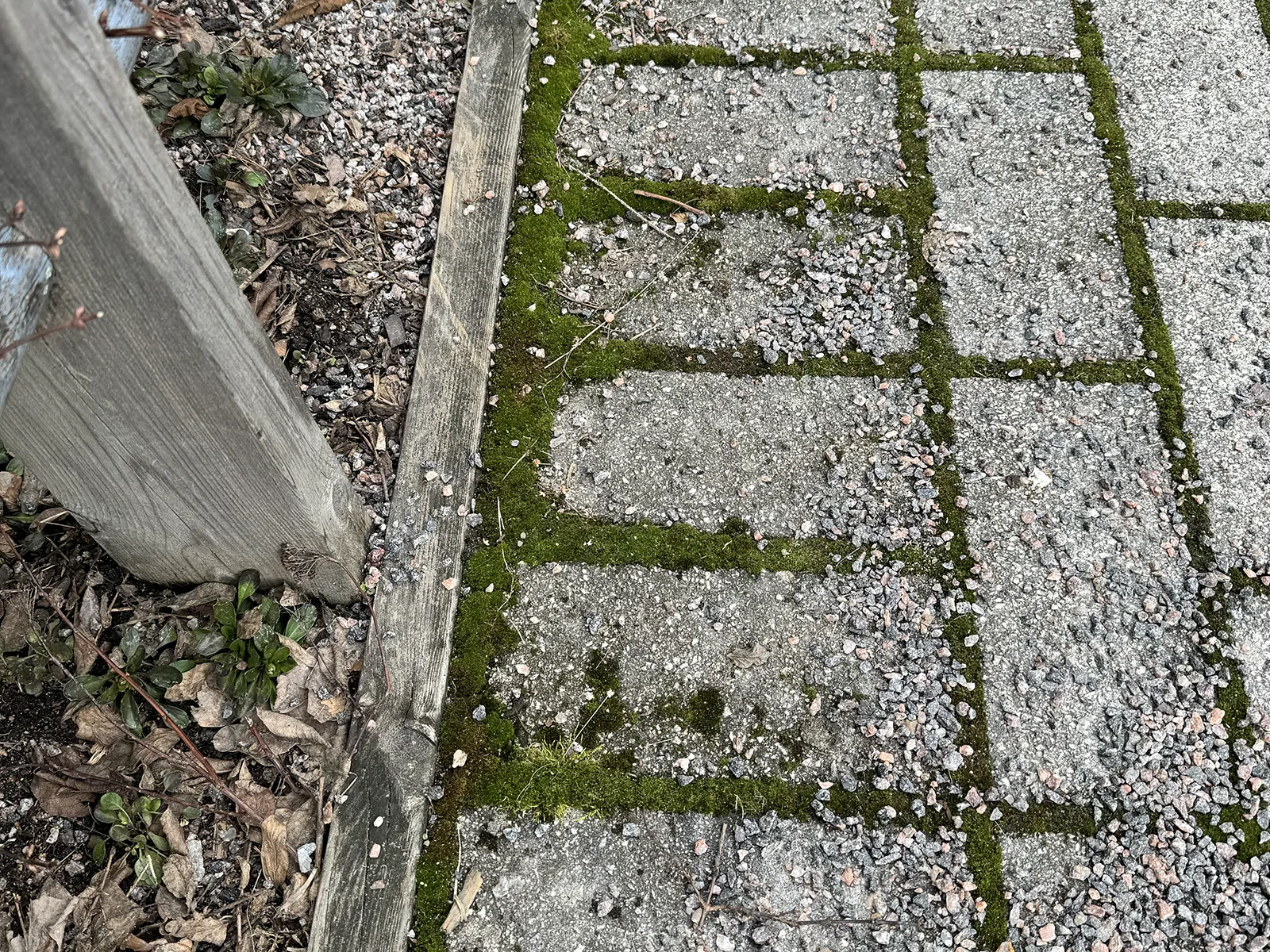 Sammaleen poisto kivetykseltä ennen käsittelyä