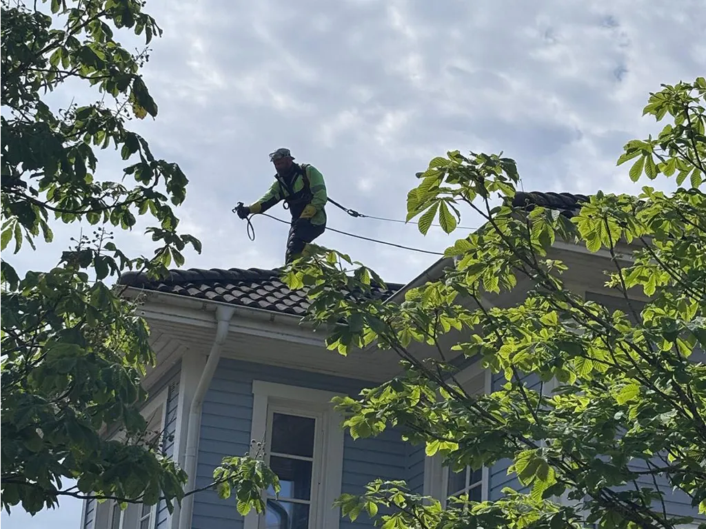 Sammaleen poisto katolta, sammaltuhon levitys ruiskulla